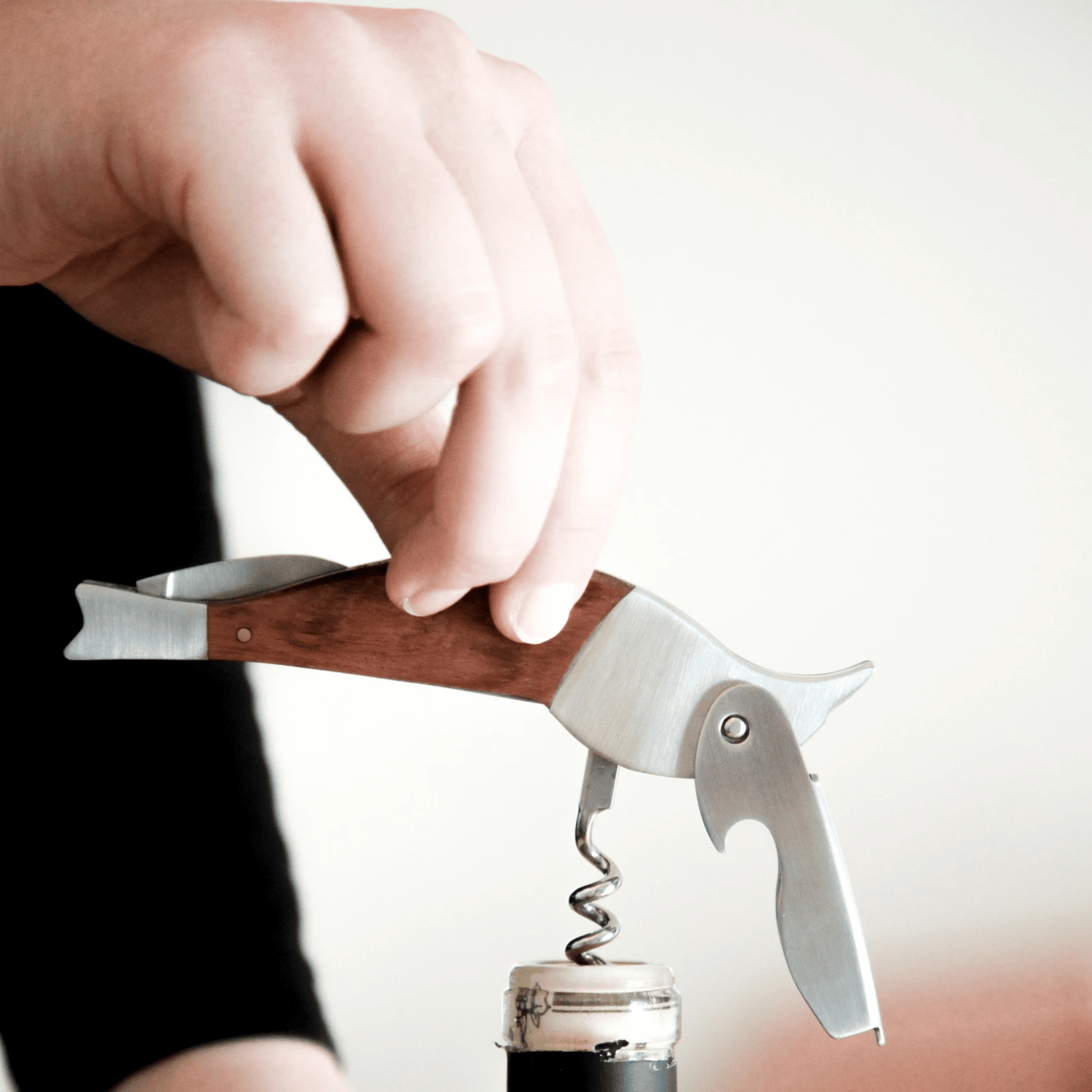 Bird Corkscrew lifestyle