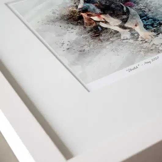 Gift for Pet Print in Colour Close Up