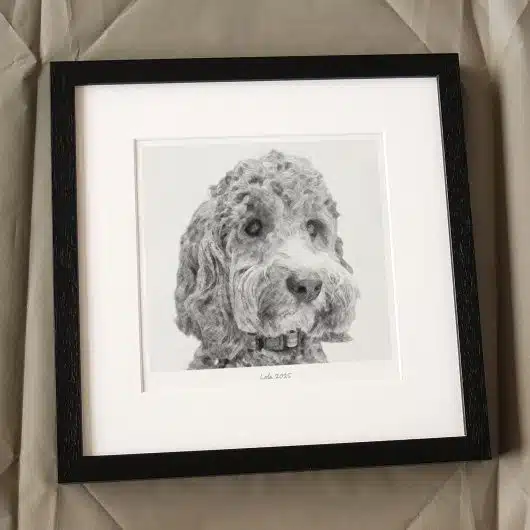 Pet Sketch Gift BW Black Frame