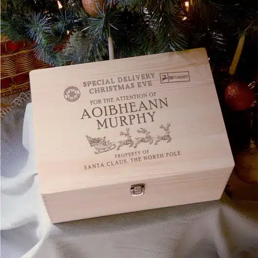 Special Delivery Christmas Box